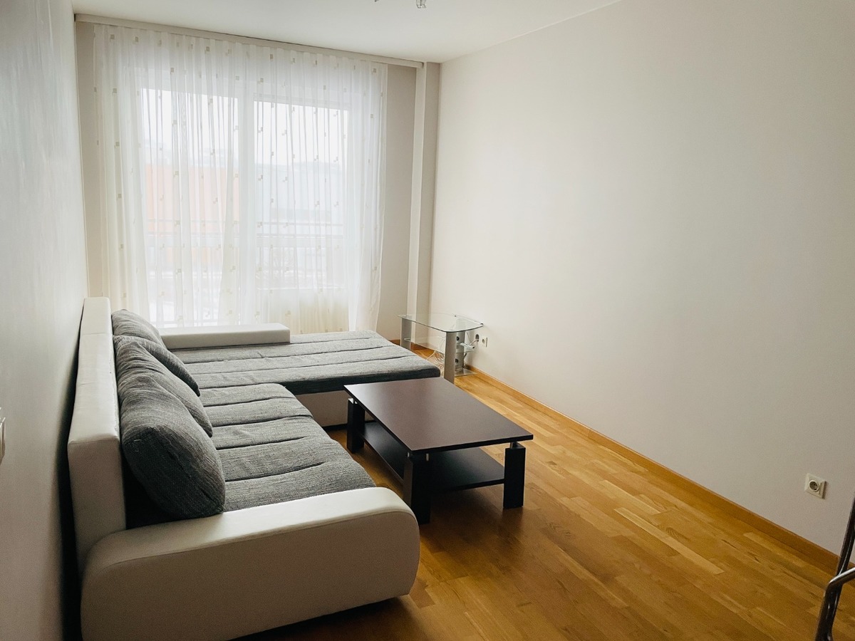 Nuomojamas butas Salomėjos Nėries g., Fabijoniškės, Vilniaus m., Vilniaus m. sav., 47.00 m² ploto 2 kambariai 3