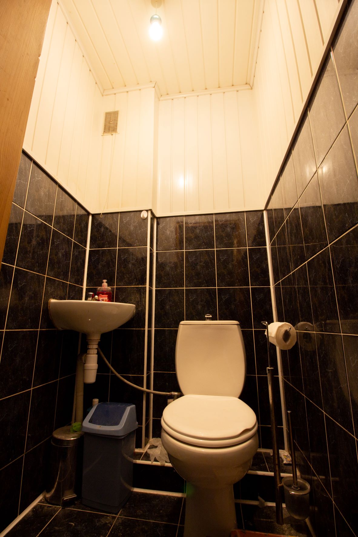 Parduodamas namas Beržų g., Kaišiadorių m., Kaišiadorių r. sav., 224 m² ploto 4 kambariai 10